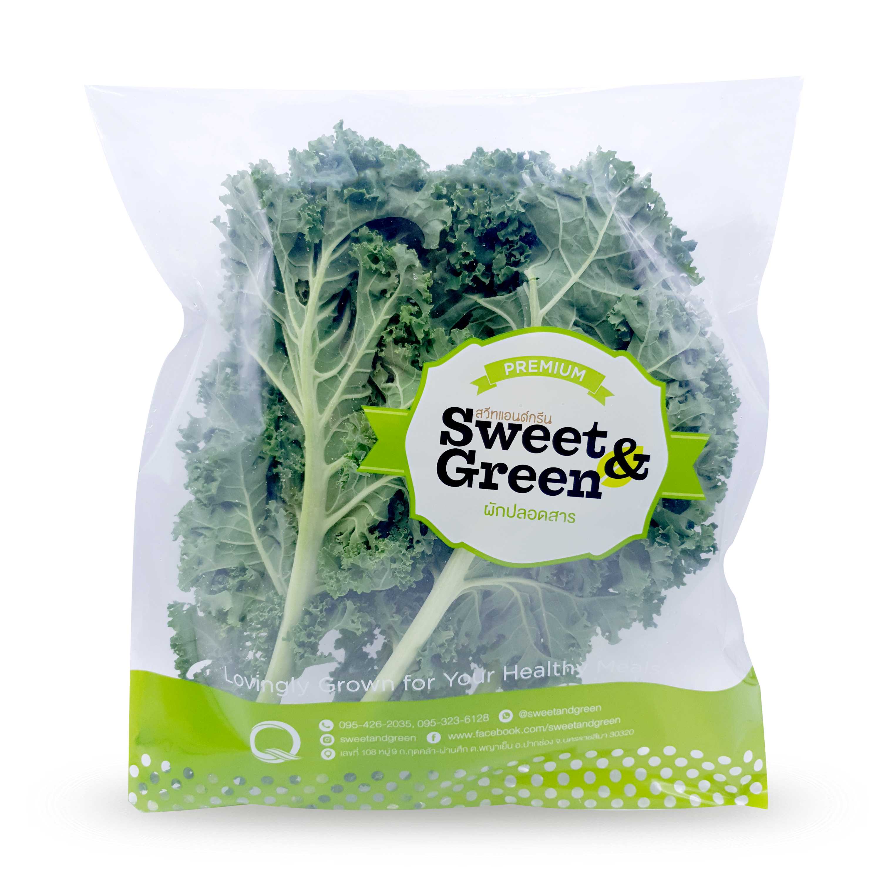 เคลฝรั่ง ออสเตรเลีย (Kale Australia)