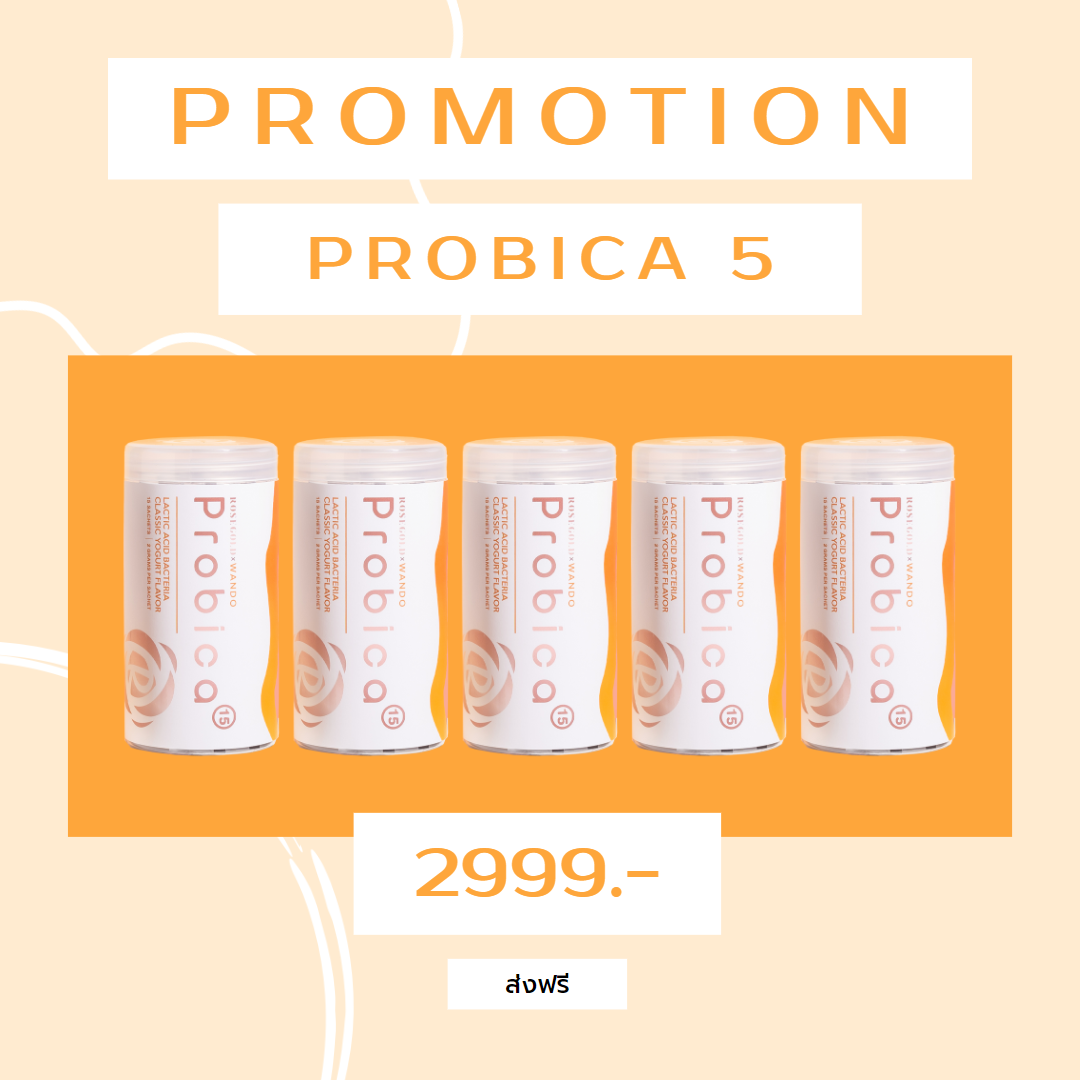 Probica 5