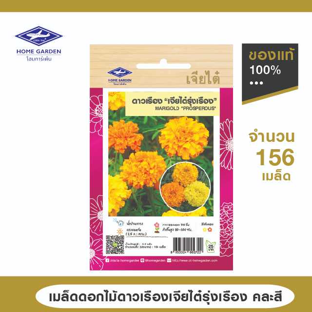 เมล็ดดอกไม้ดาวเรืองเจียไต๋รุ่งเรือง คละสี ซ. 0.5 กรัม จำนวน 156 เมล็ด