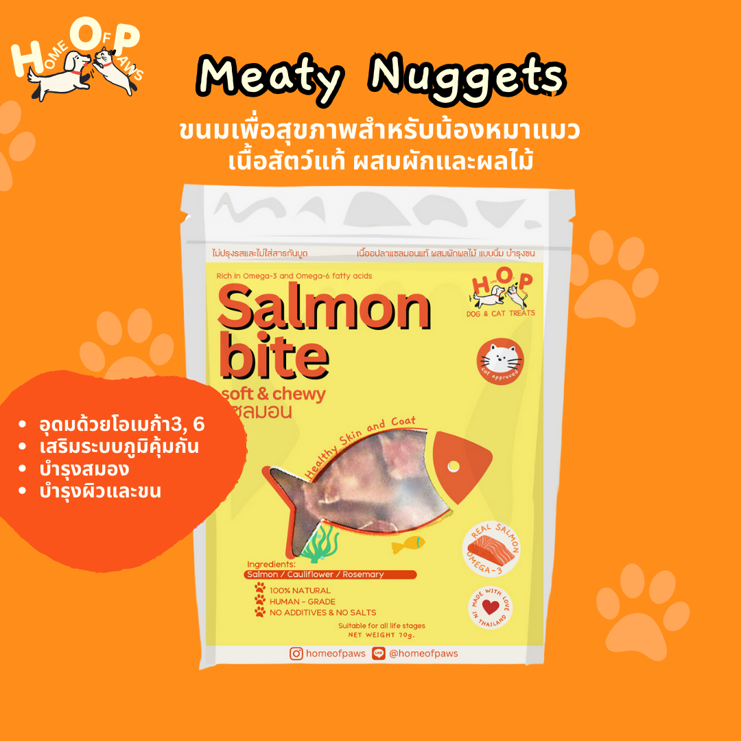 Salmon Bite โฮมเมดบิสกิตทำจากเนื้อปลาแซลมอนแท้
