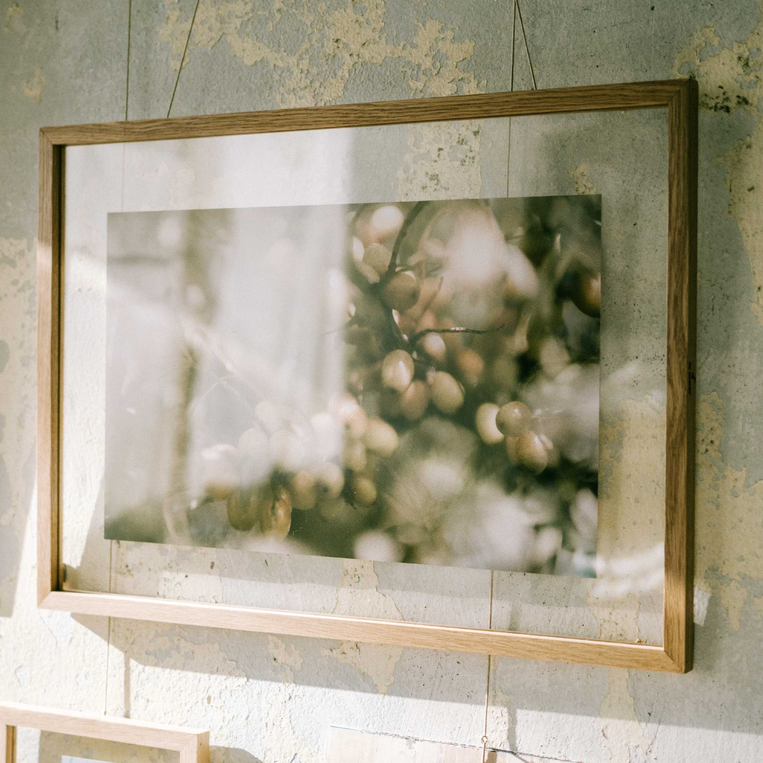 กรอบรูปแขวนผนัง WOODEN WALL FRAME : 50x70 cm  ไวท์โอ๊ค