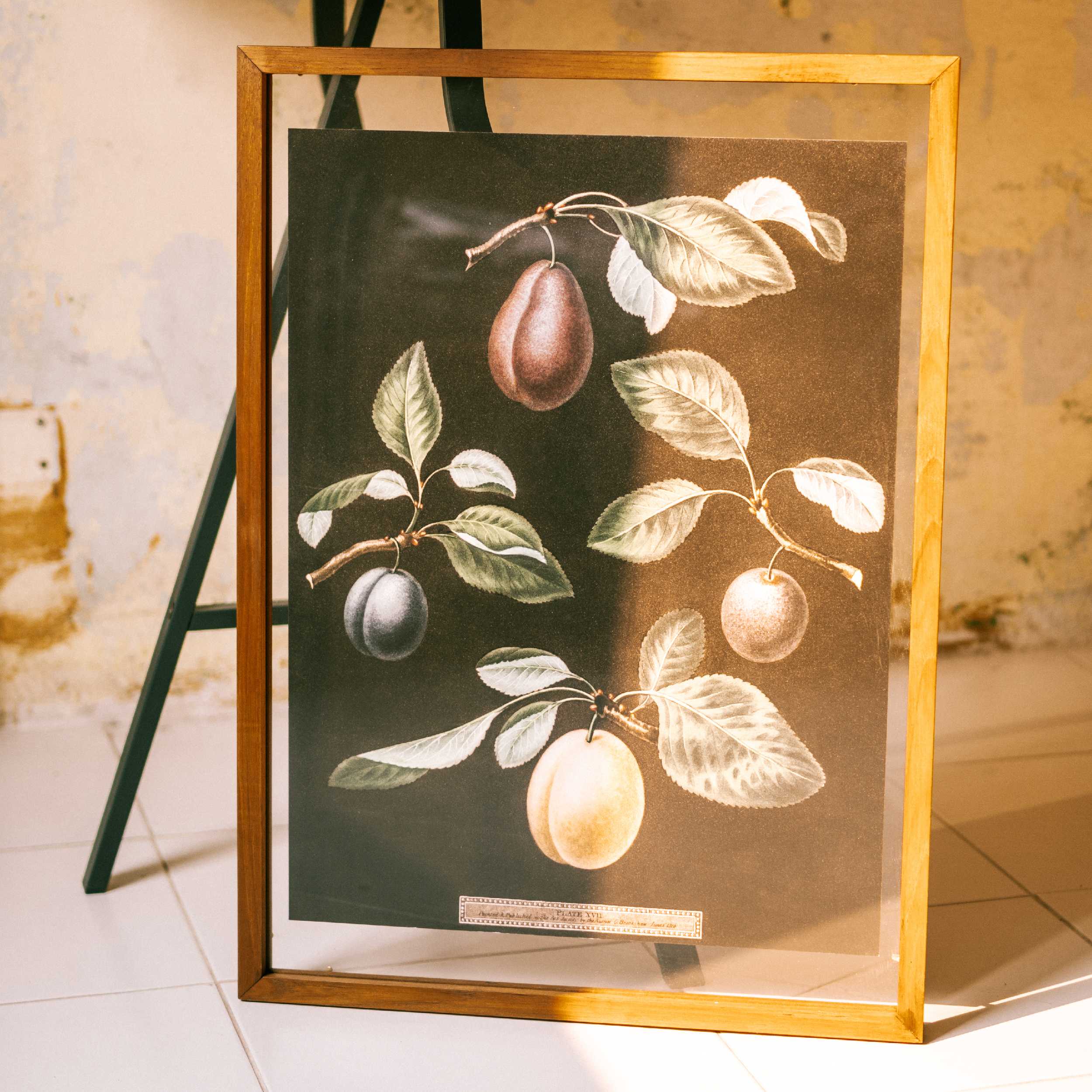 กรอบรูปแขวนผนัง WOODEN WALL FRAME : 50x70 cm ไม้สัก