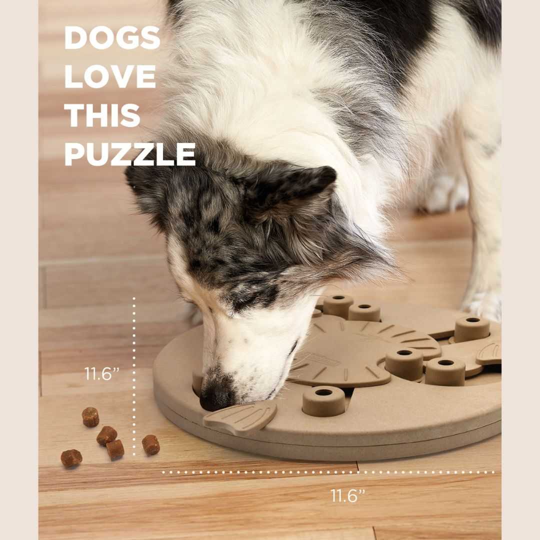 Nose work Level 3  ของเล่นฝึกสมอง ฝึกดมของสุนัข Dog Worker Interactive Treat Puzzle Dog Toy