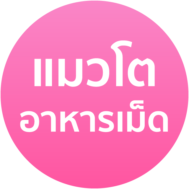 An Image
