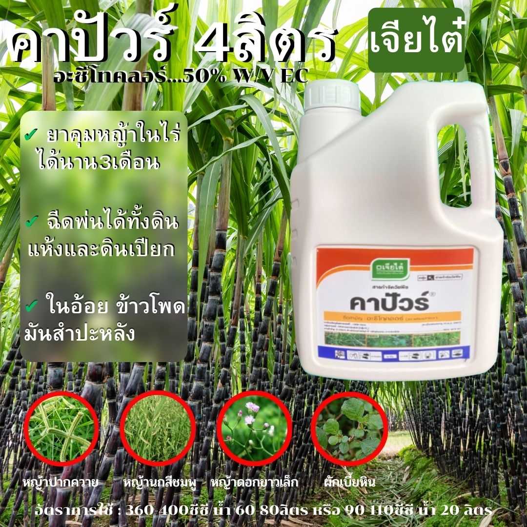 คาปัวร์ เจียไต๋ 1ลิตรและ 4ลิตร อะซีโทคลอร์ ยาคุมหญ้า ใช้ก่อนวัชพืชงอกเพื่อกำจัดวัชพืชใบแคบ-ใบกว้าง