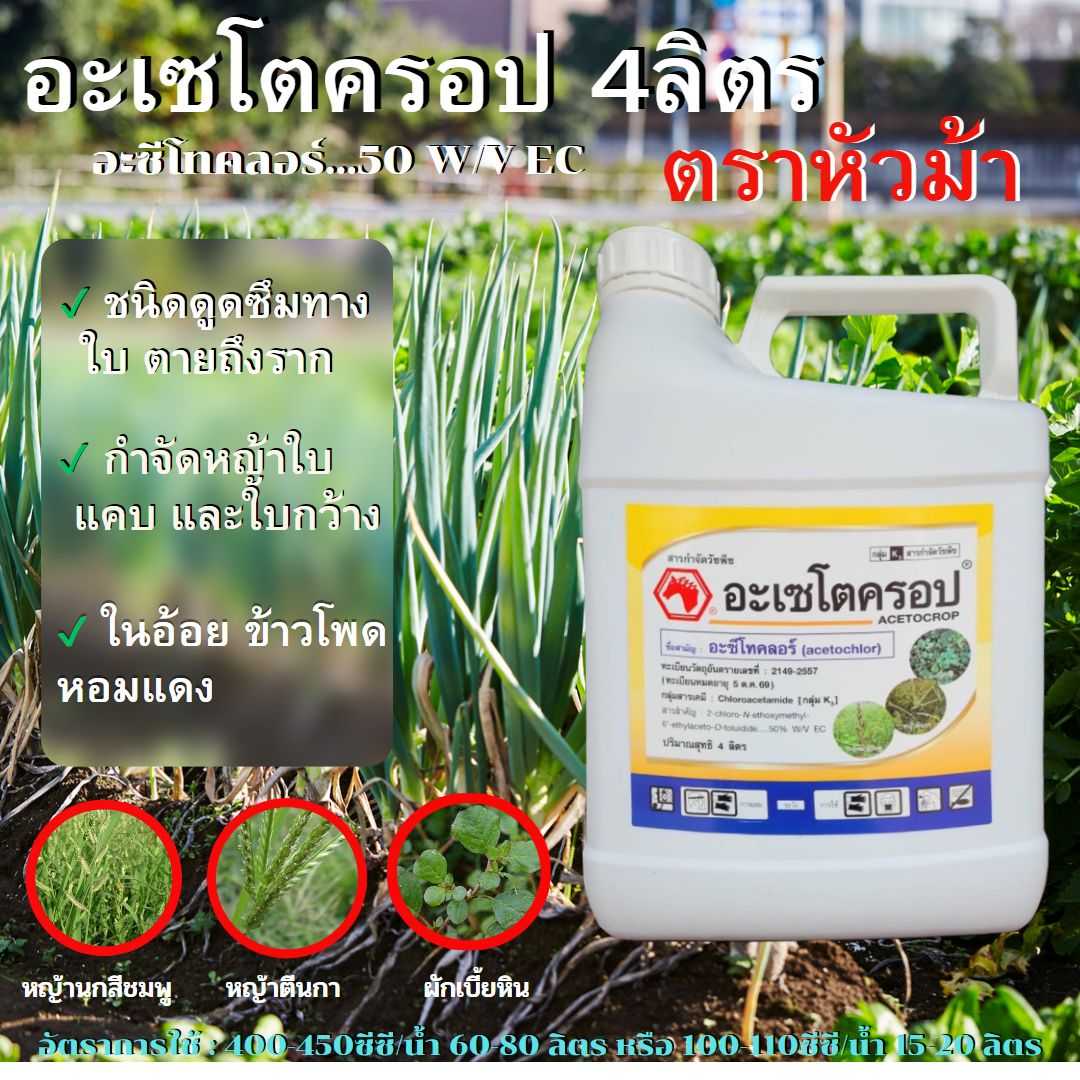อะเซโตครอป อะซีโทคลอร์  1ลิตรและ 4ลิตร ตราหัวม้า ใช้ก่อนวัชพืชงอก เพื่อกำจัดวัชพืชใบกว้าง-ใบแคบ ฯลฯ