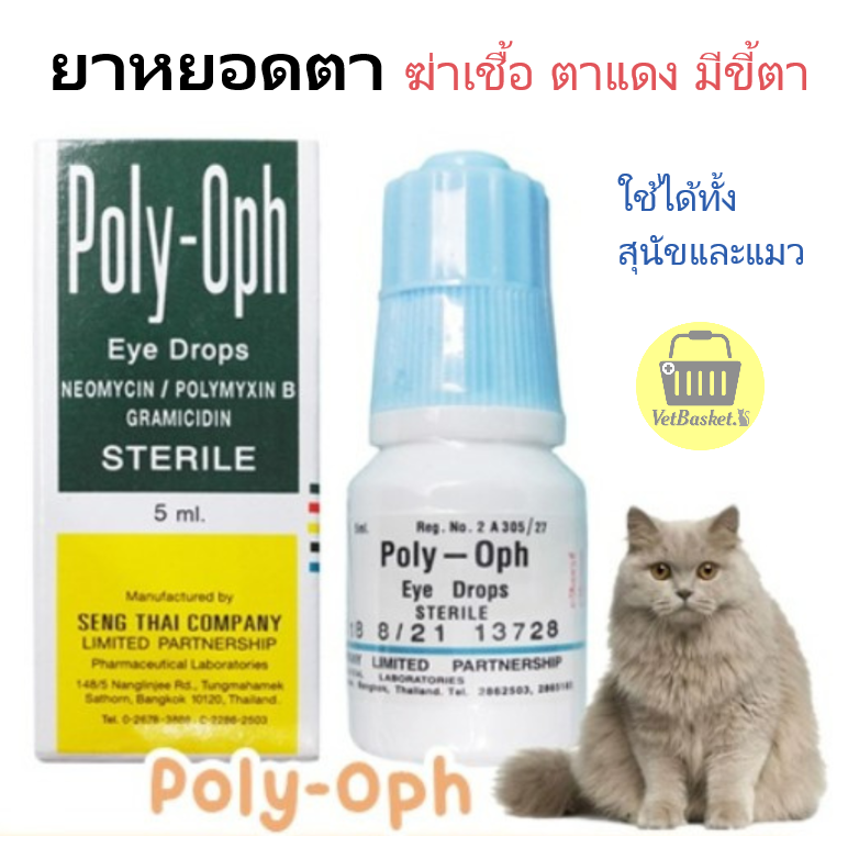 Poly-oph ยาหยอดตา ลดการติดเชื้อแบคทีเรีย ใช้ได้ทั้งสุนัขและแมว
