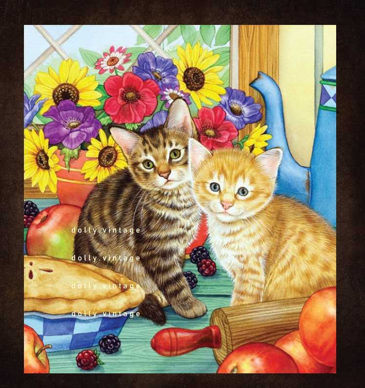 Cat0354 แบบคู่