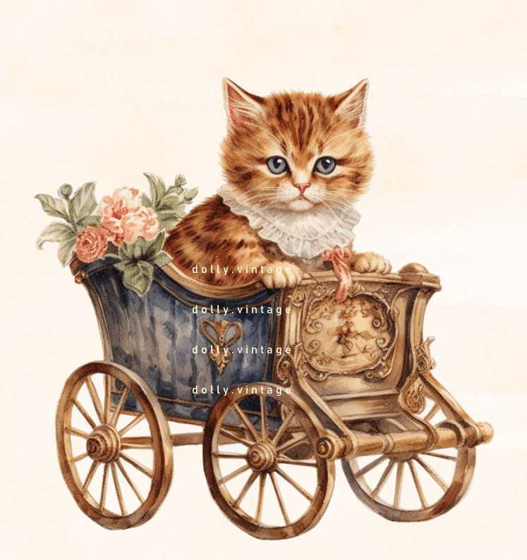 Cat0395 แบบคู่