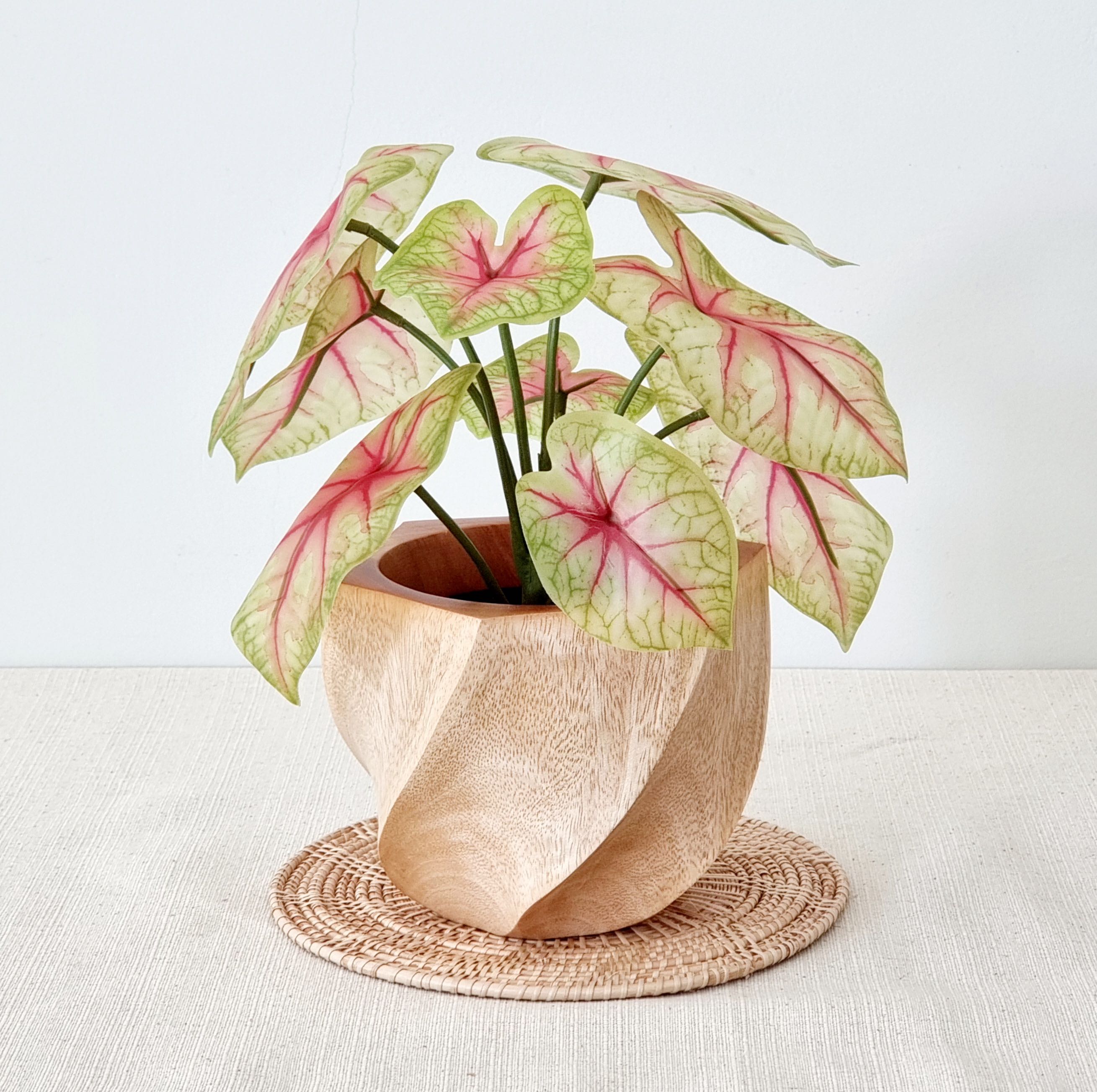 Japanese Plant Pot: กระถางต้นไม้สไตล์ญี่ปุ่น แถมฟรีต้นไม้ประดิษฐ์