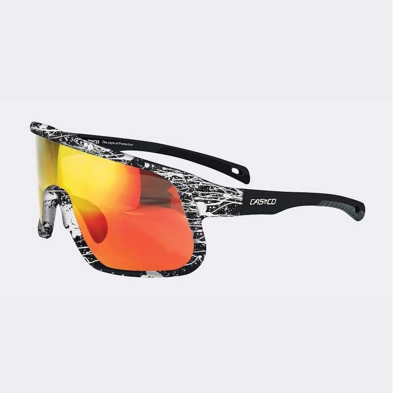 แว่น SX-25 SPATTER SCHWARZ
