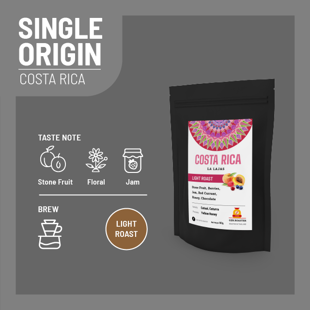เมล็ดกาแฟคั่วอ่อน Costa Rica La Lajas 100g.