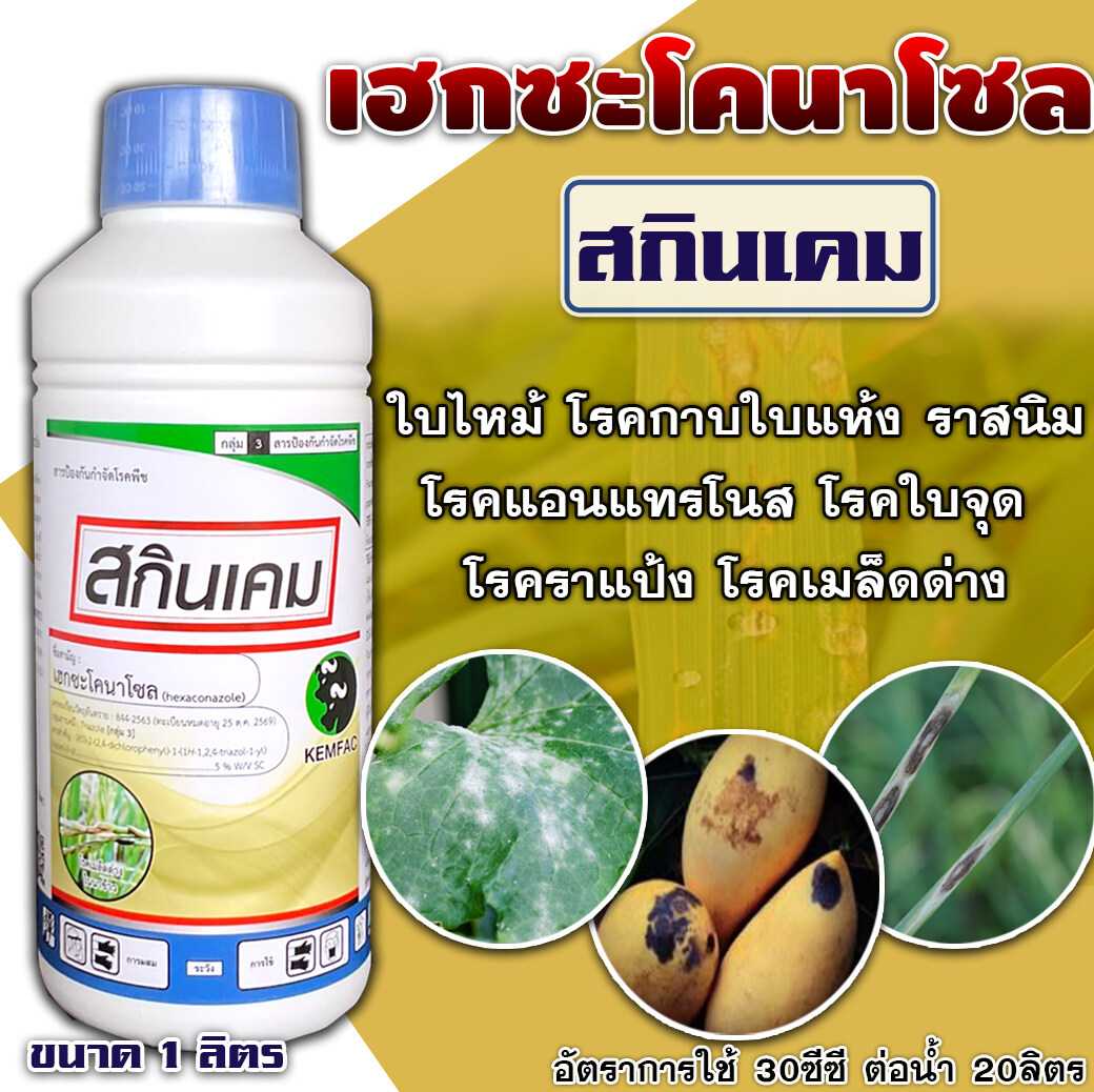 สกินเคม : เฮกซะโคนาโซล 1 L  ใบไหม้  กาบใบแห้ง ราสนิม แอนแทรคโรส  ใบจุด ราแป้ง เมล็ดด่าง