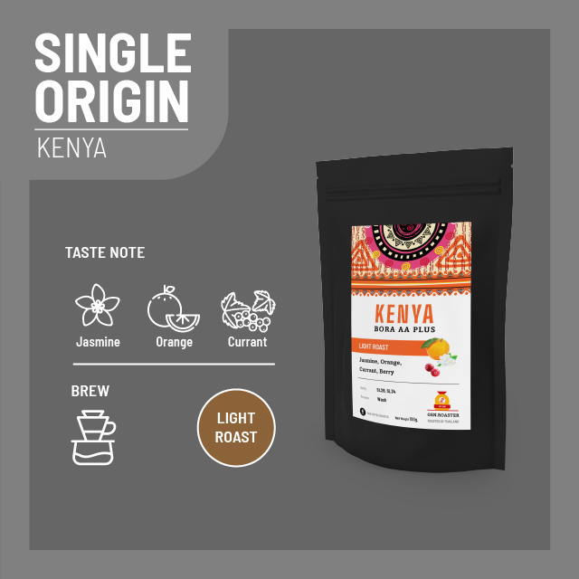 เมล็ดกาแฟคั่วอ่อน Kenya Bora AA Plus 100g.
