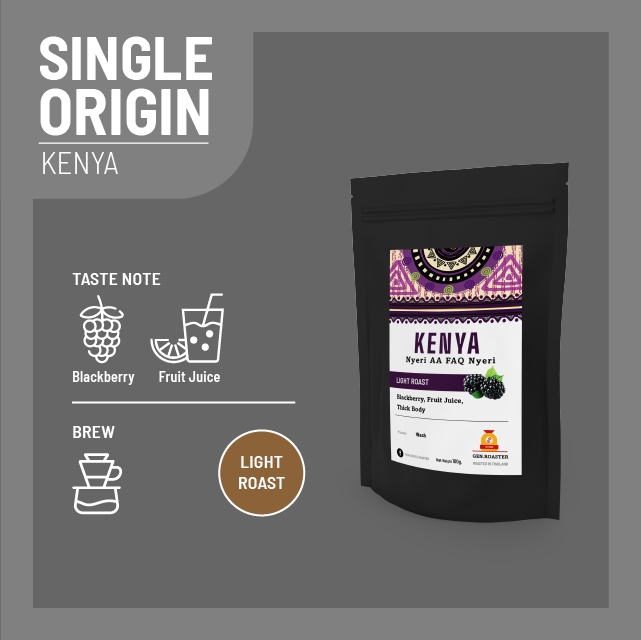 เมล็ดกาแฟคั่วอ่อน Kenya Nyeri AA FAQ 100g