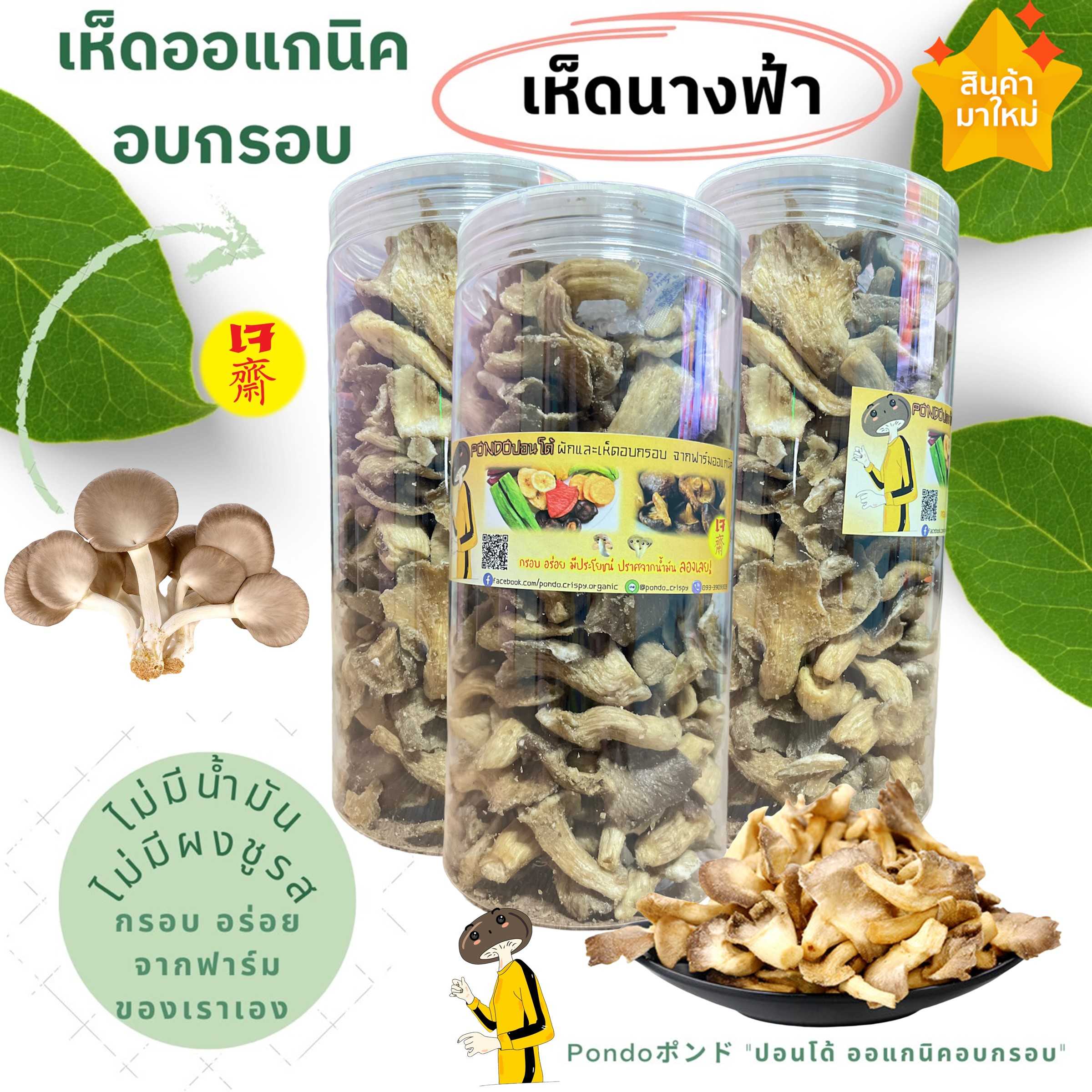 เห็ดนางฟ้าอบกรอบ บรรจุกระปุกอย่างดี ขนาด135กรัม PONDO ไม่ใช้น้ำมัน รับประกันความกรอบอร่อย