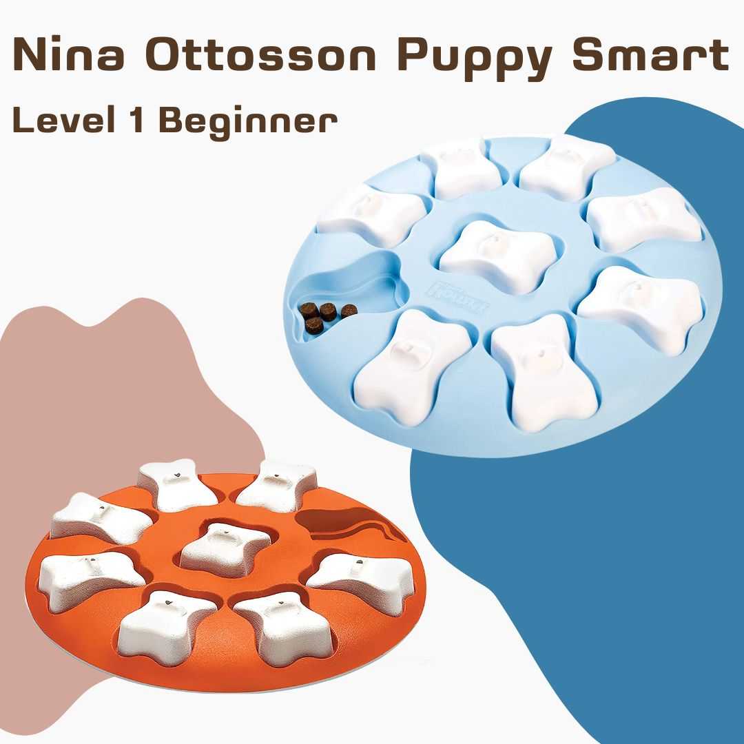 Level 1 Outward Hound Nina Ottosson Dog Smart