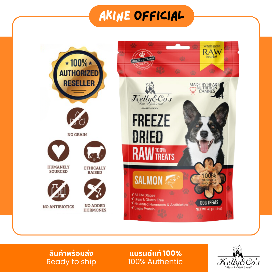 KELLY & CO'S เคลลี่แอนด์โค ขนมสุนัข ซิงเกิ้ลทรีทส์ ขนมฟรีซดราย ปลาแซลมอน by AKINE