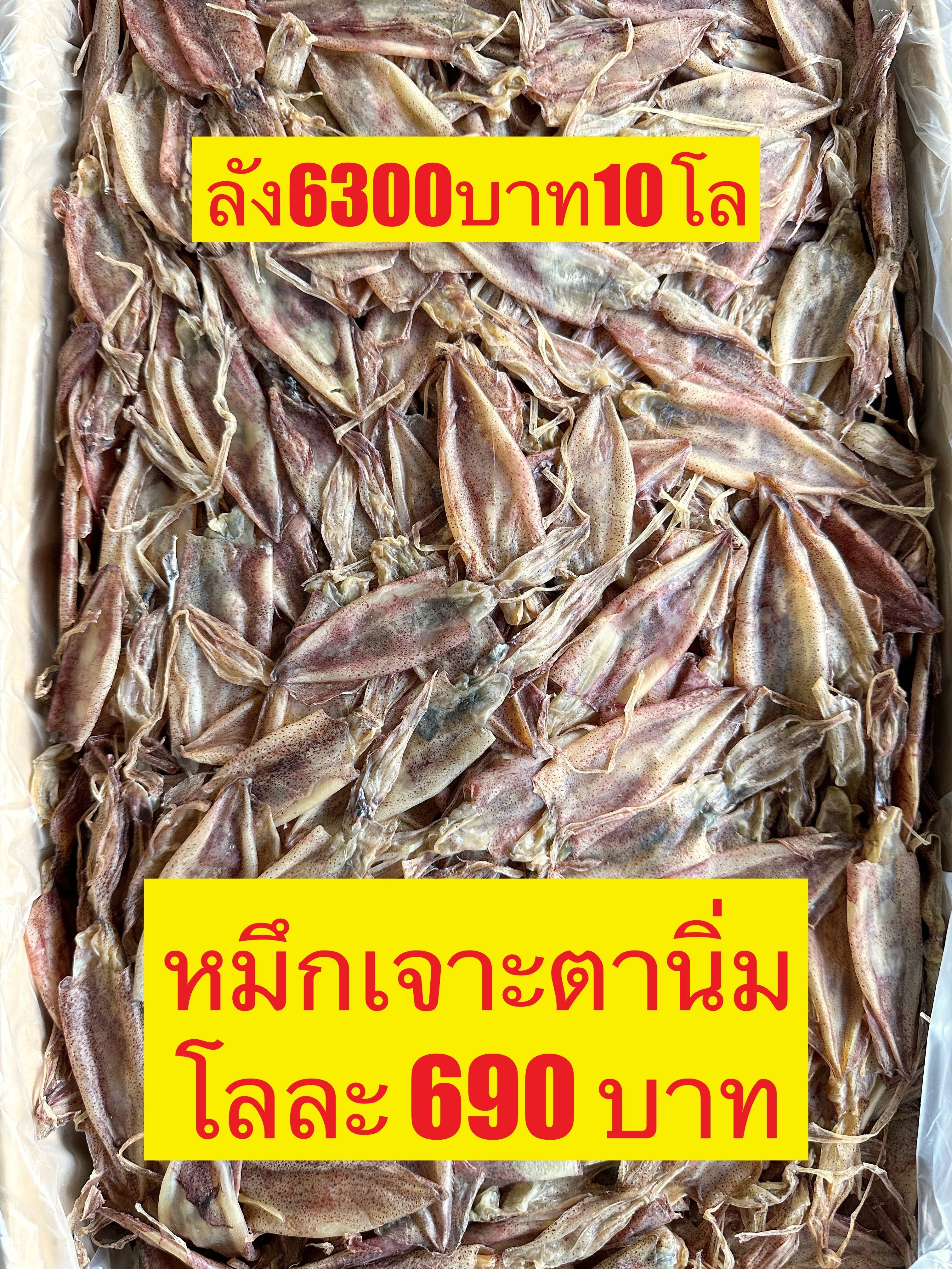 หมึกเจาะตาได ขนาด500กรัม