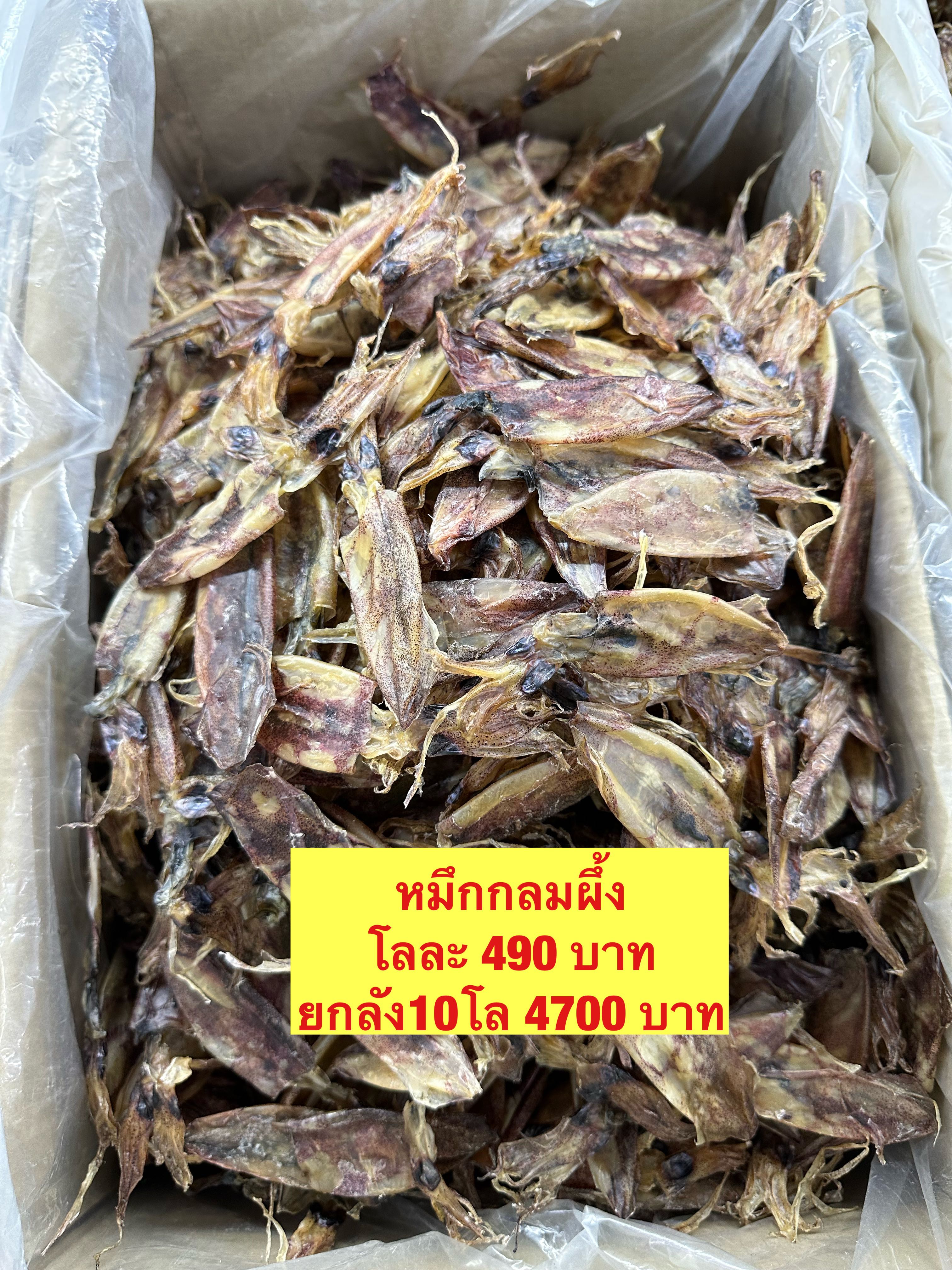 หมึกกลมได ขนาด500กรัม