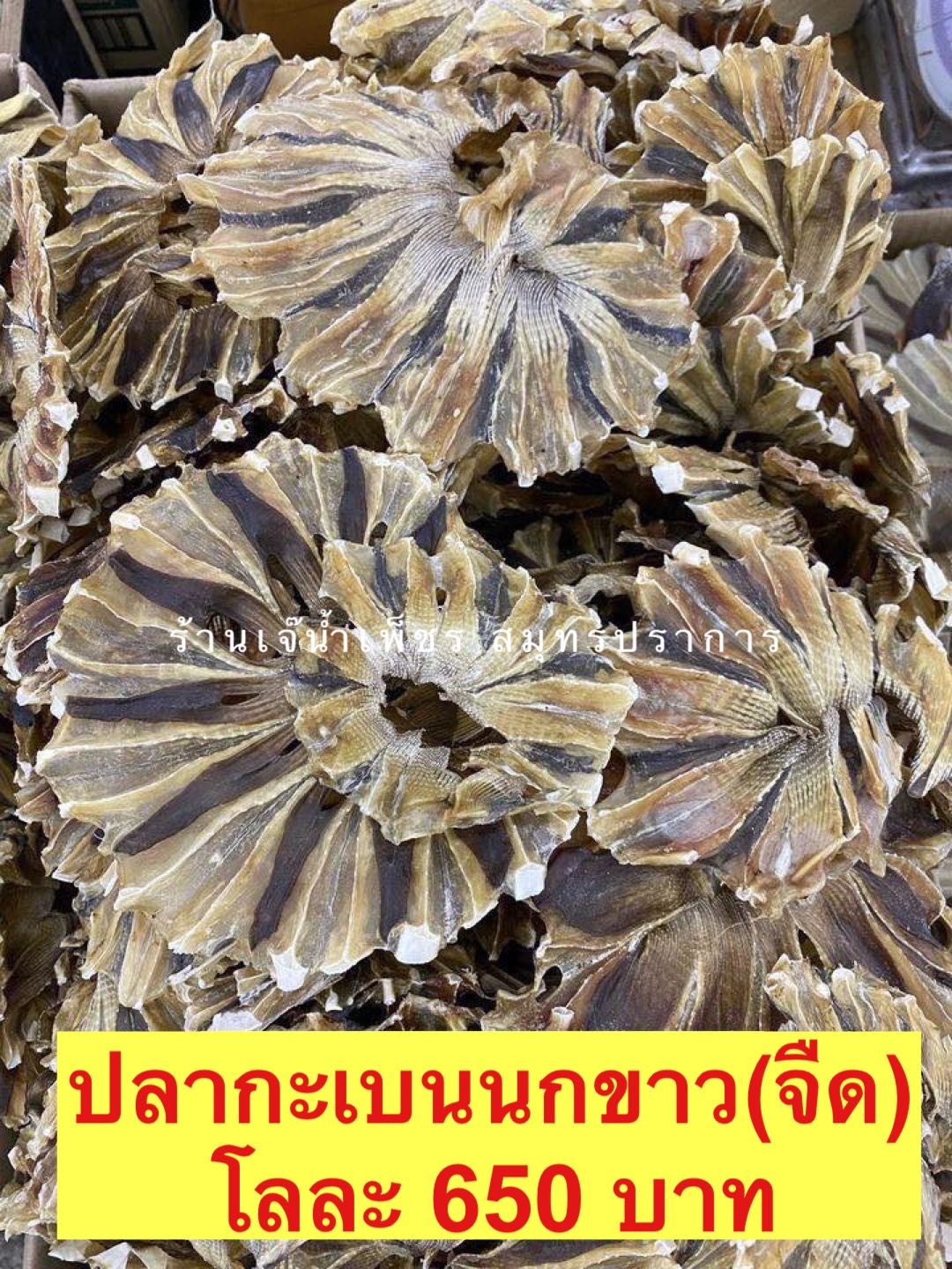 ปลากะเบนจืด ขนาด500กรัม