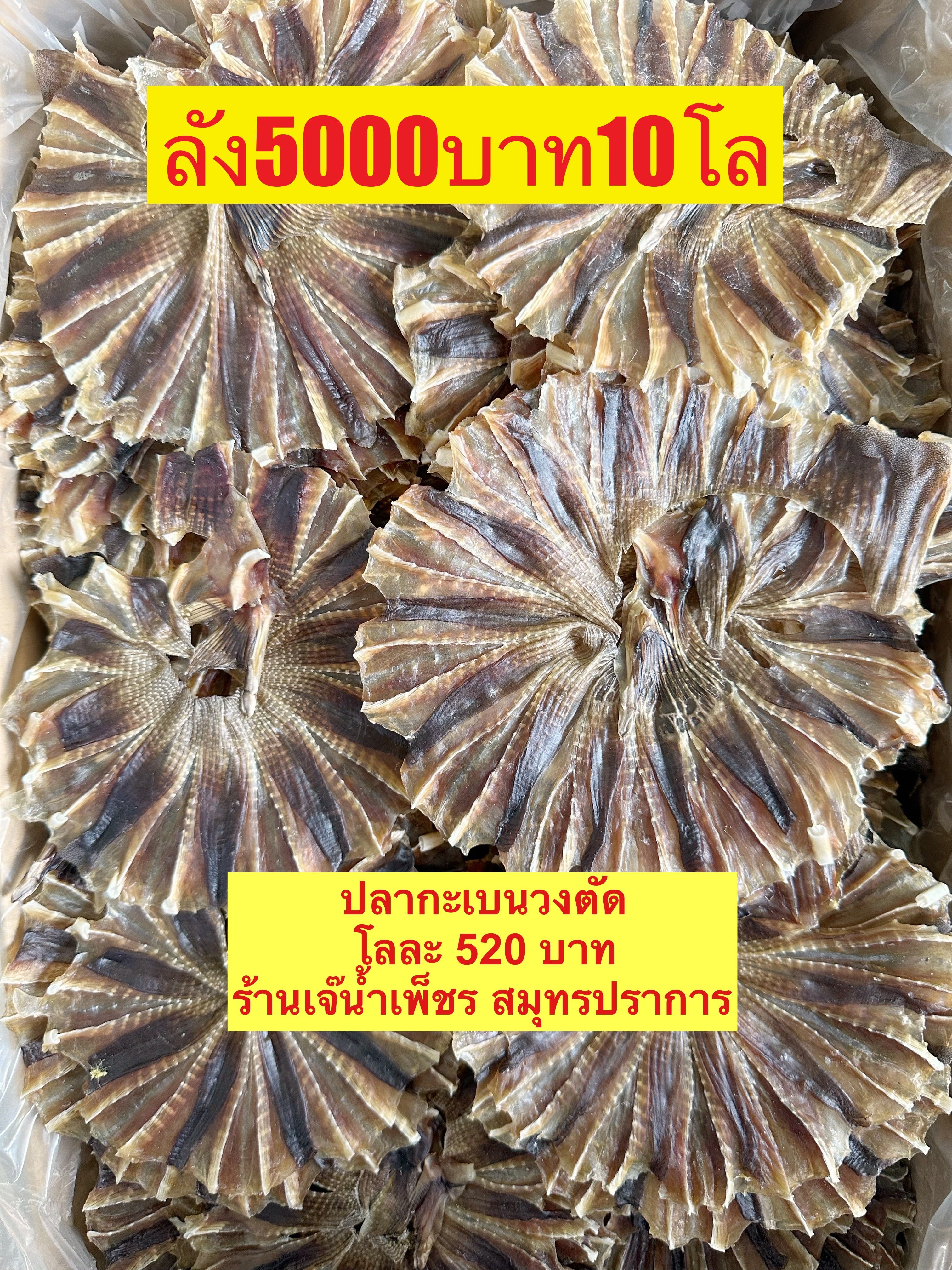 ปลากระเบนวงตัด ขนาด500กรัม