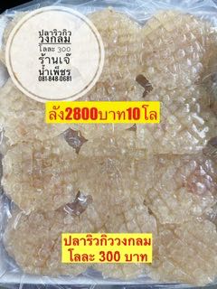 ปลาริวกิวกลม ขนาด500กรัม