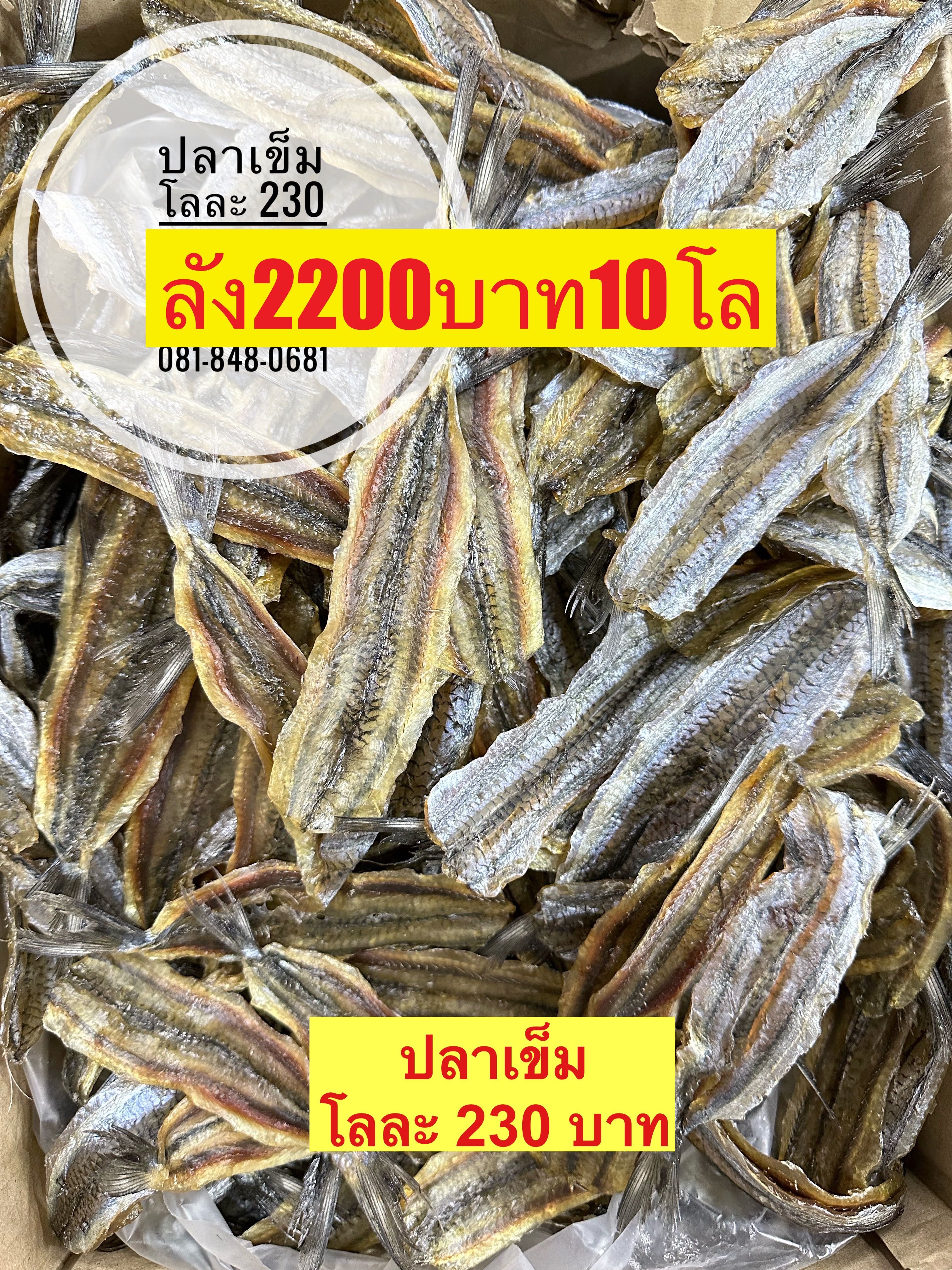 ปลาเข็มหวาน ขนาด500กรัม