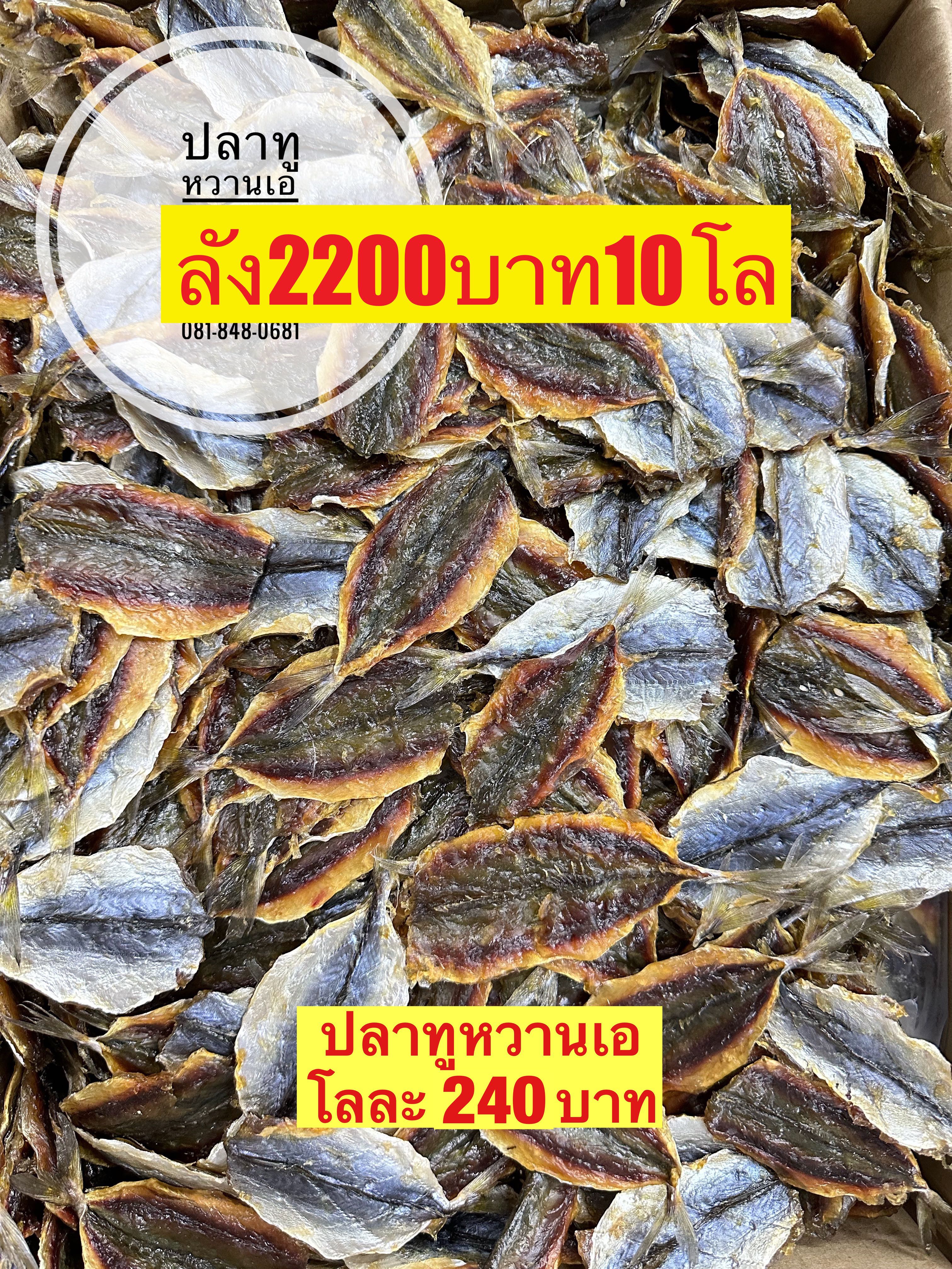 ปลาทูหวานไม่งาเอ ขนาด500กรัม