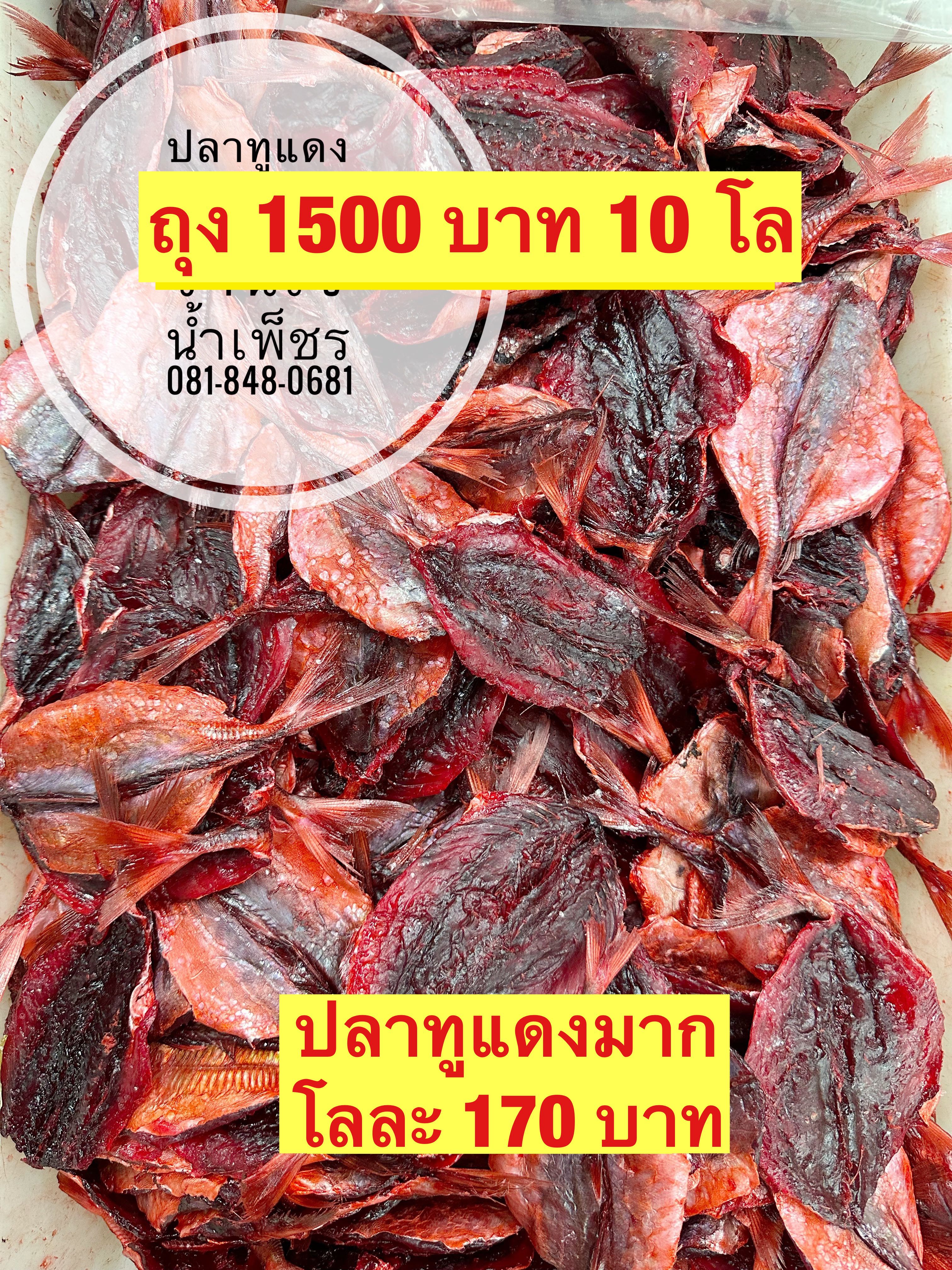 ปลาทูแดงมาก ขนาด500กรัม