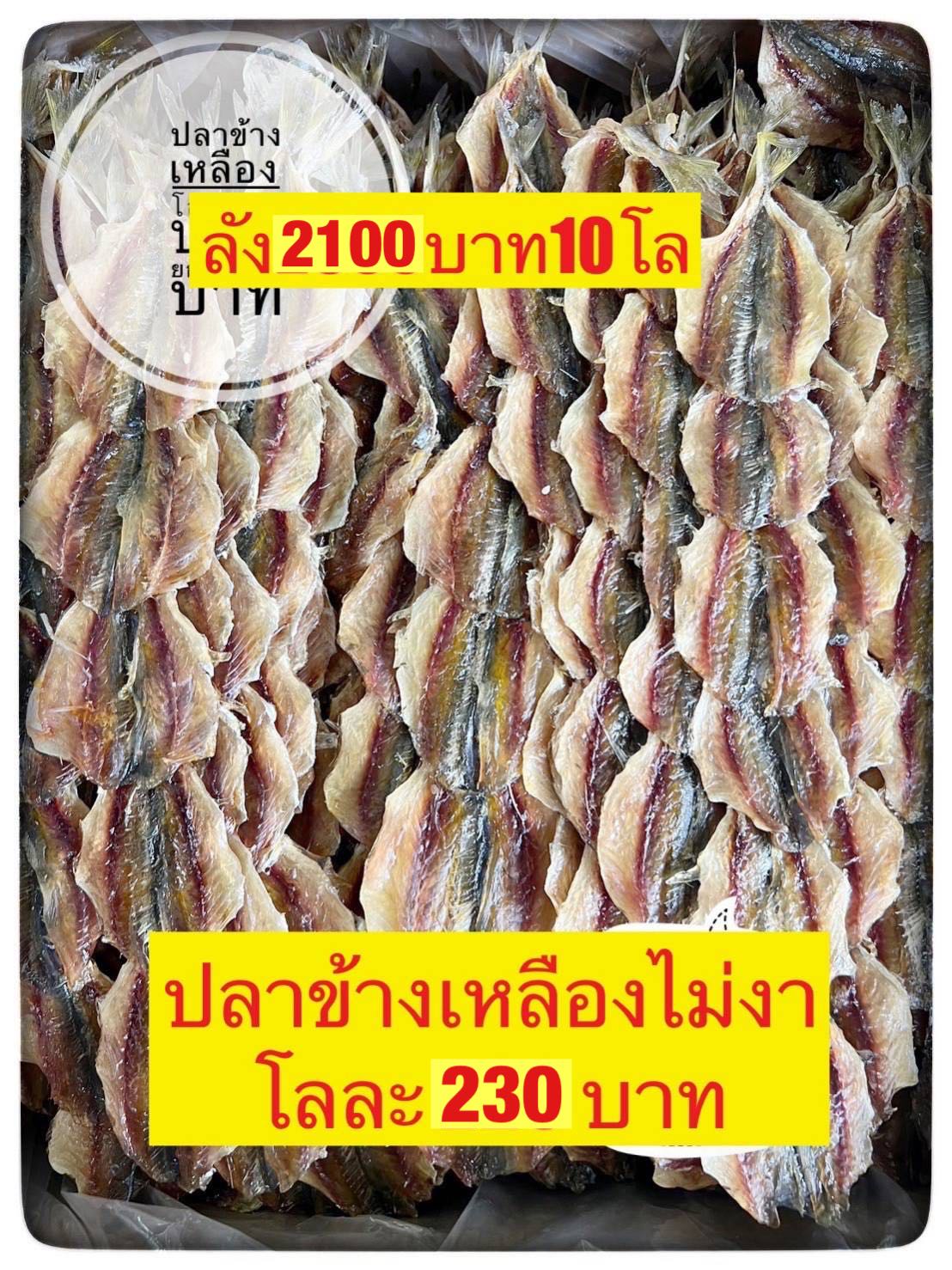 ปลาข้างเหลืองไม่งา ขนาด500กรัม