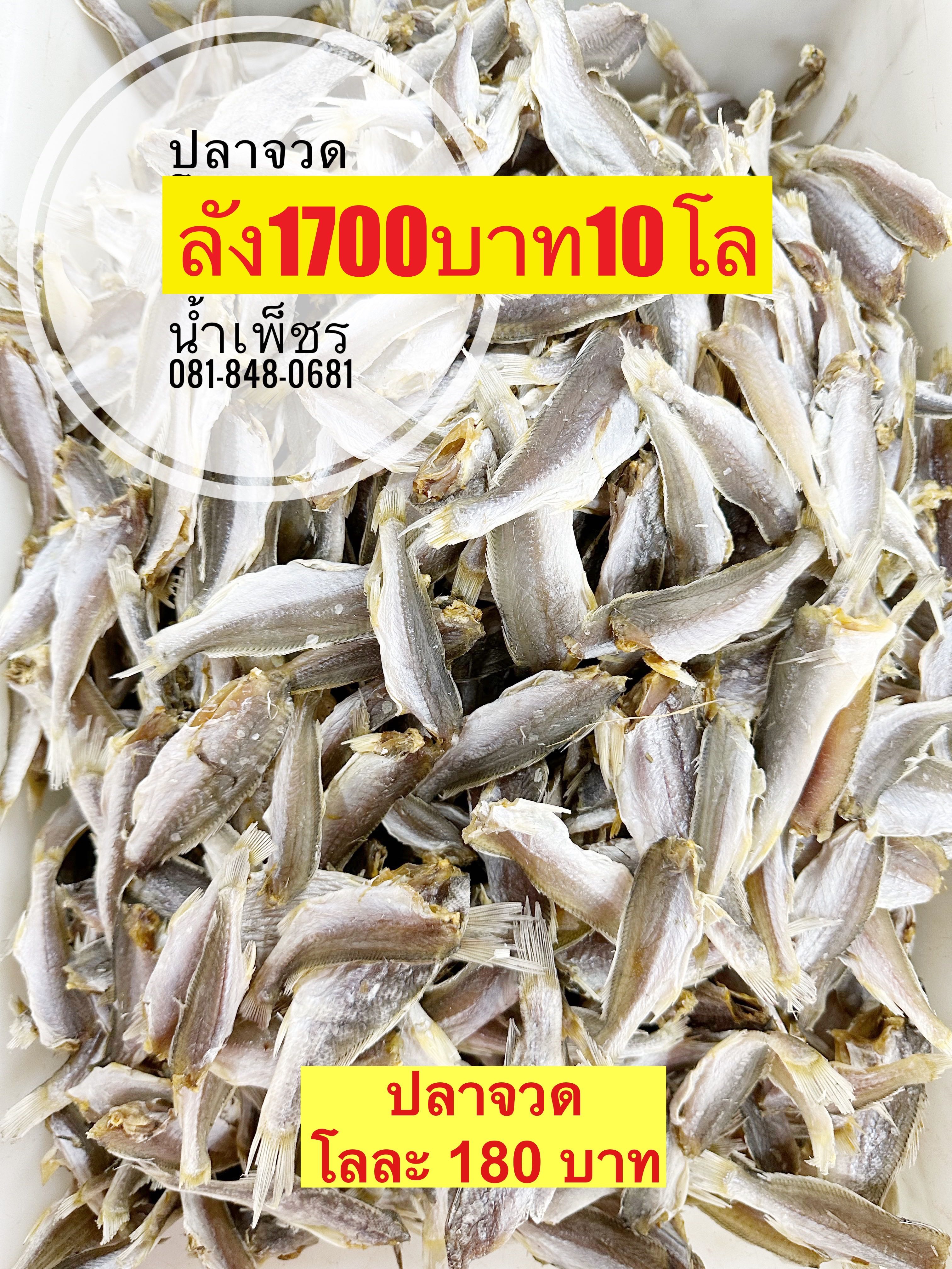ปลาจวดตัวเล็ก ขนาด500กรัม