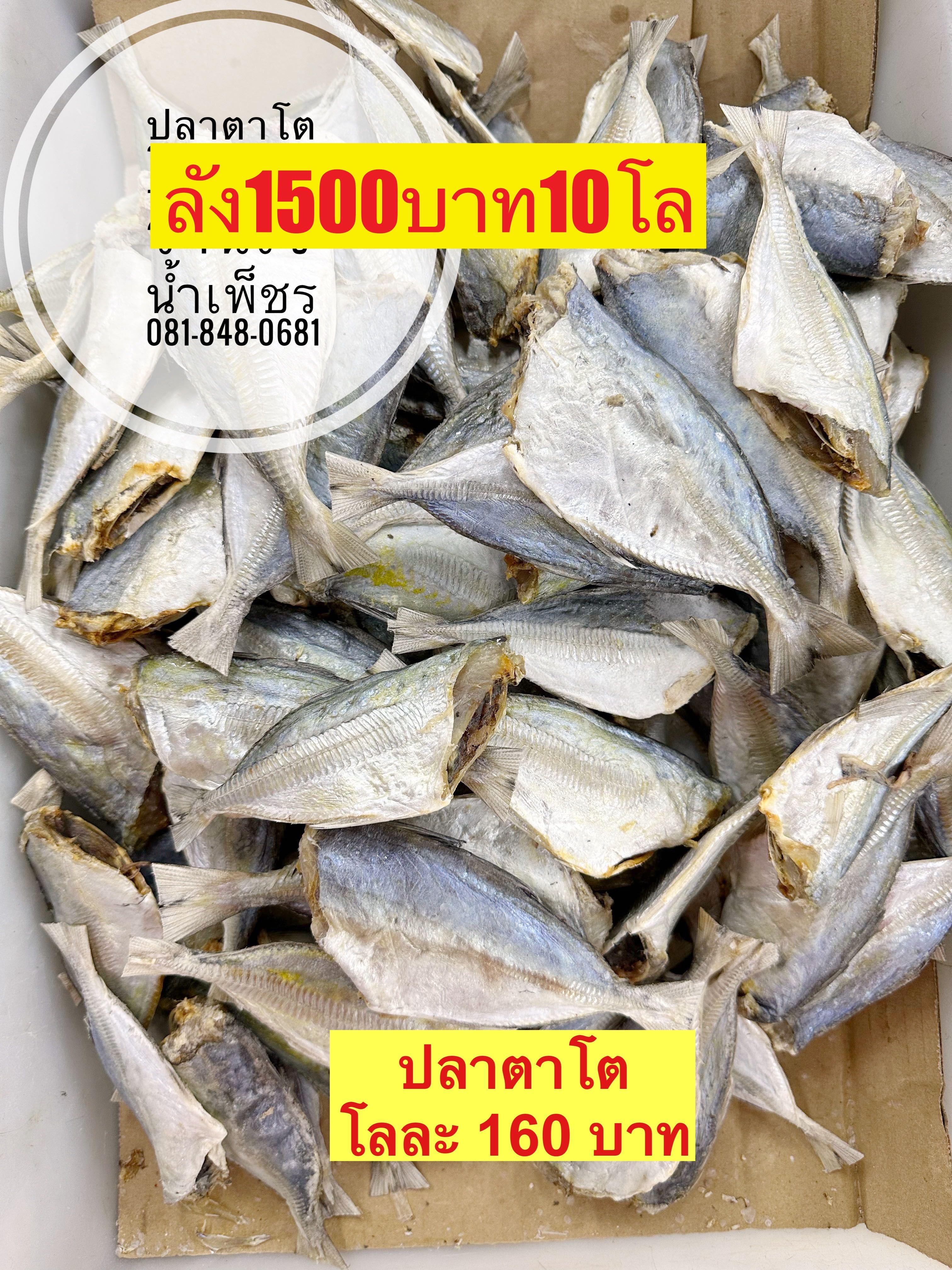 ปลาตาโต ขนาด500กรัม