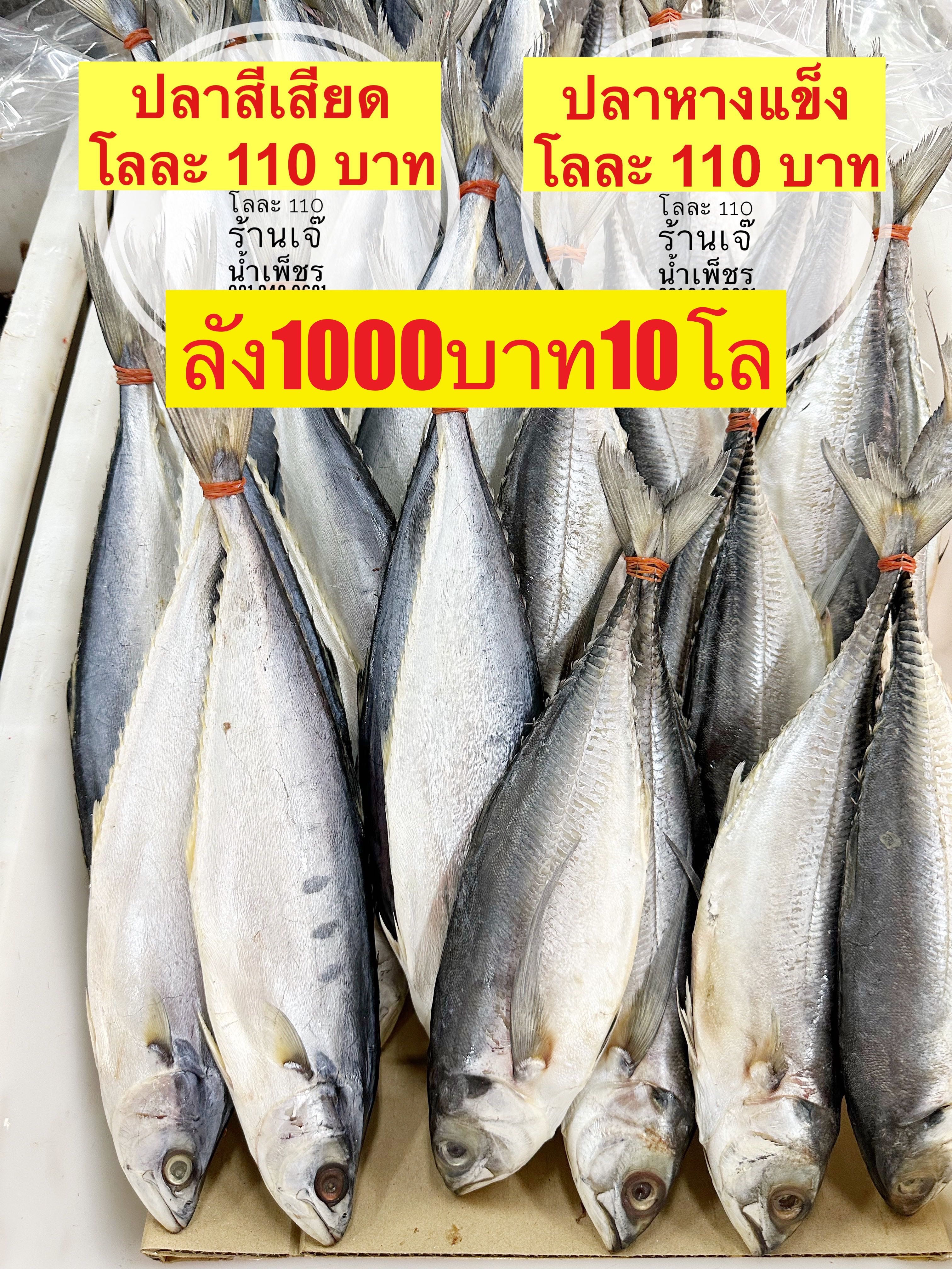 ปลาหางแข็ง ขนาด1000กรัม