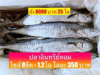 ปลาอินทรีย์ ขายตัวละ 380