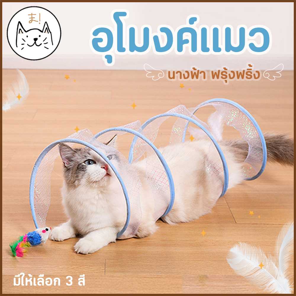 KUMAま อุโมงค์แมว นางฟ้า ฟรุ้งฟริ้ง