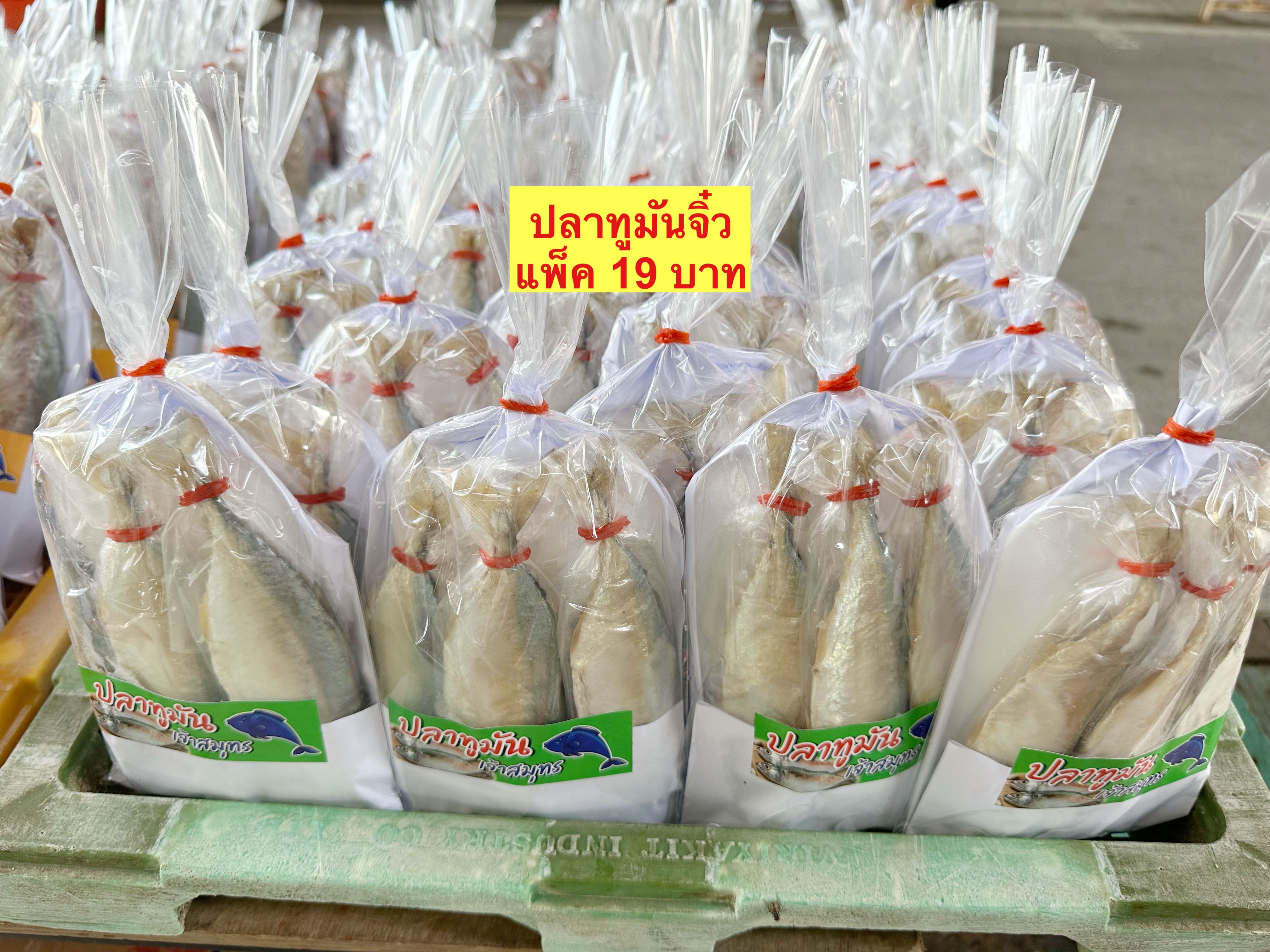 ปลาทูมันจิ๋ว
