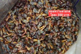 หอยหวานสามรส ขนาด500กรัม