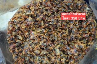 หอยลายสามรส ขนาด500กรัม