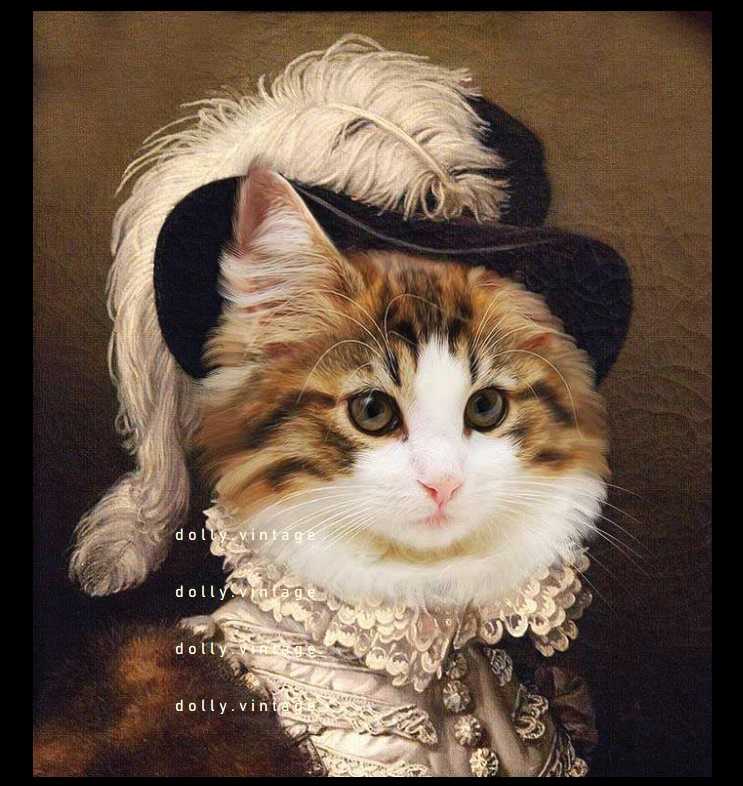 Cat0486 แบบคู่