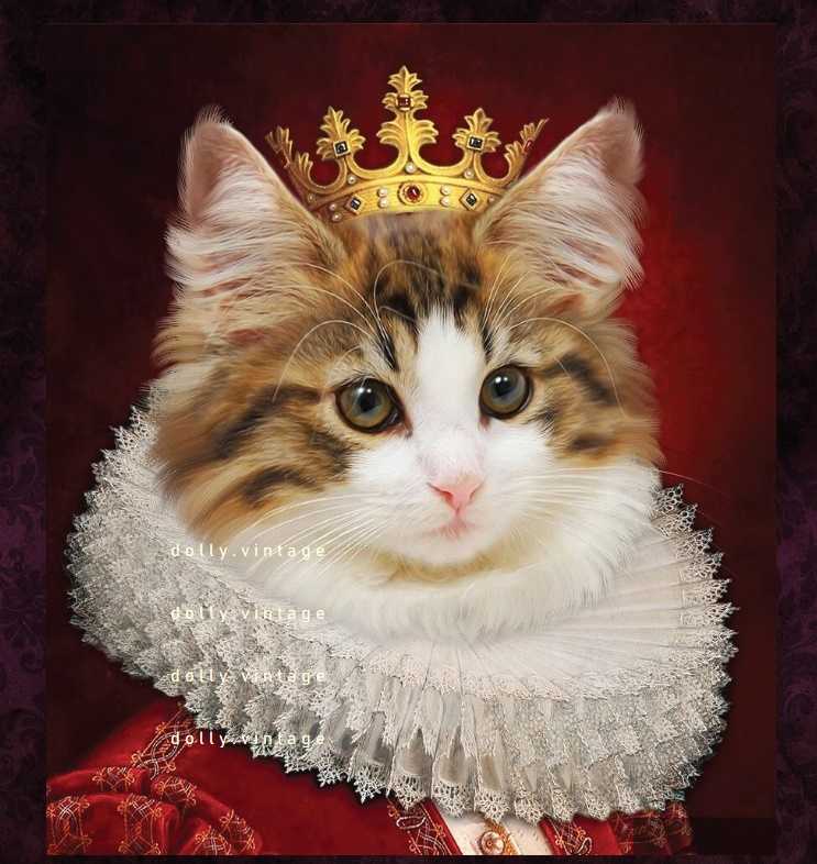 Cat0488 แบบคู่