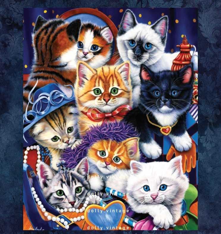 Cat0506