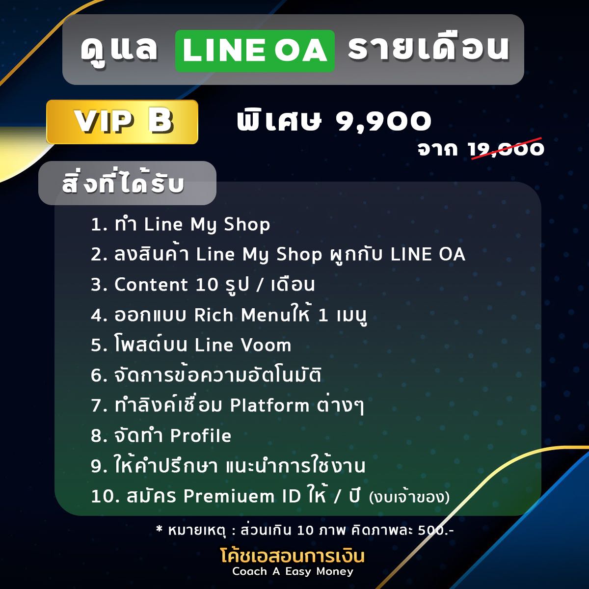 ดูแล Line OA รายเดือน Vip B