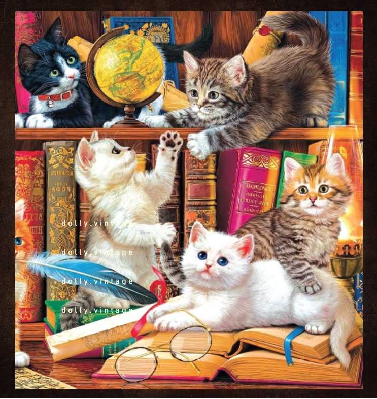Cat0518 แบบคู่