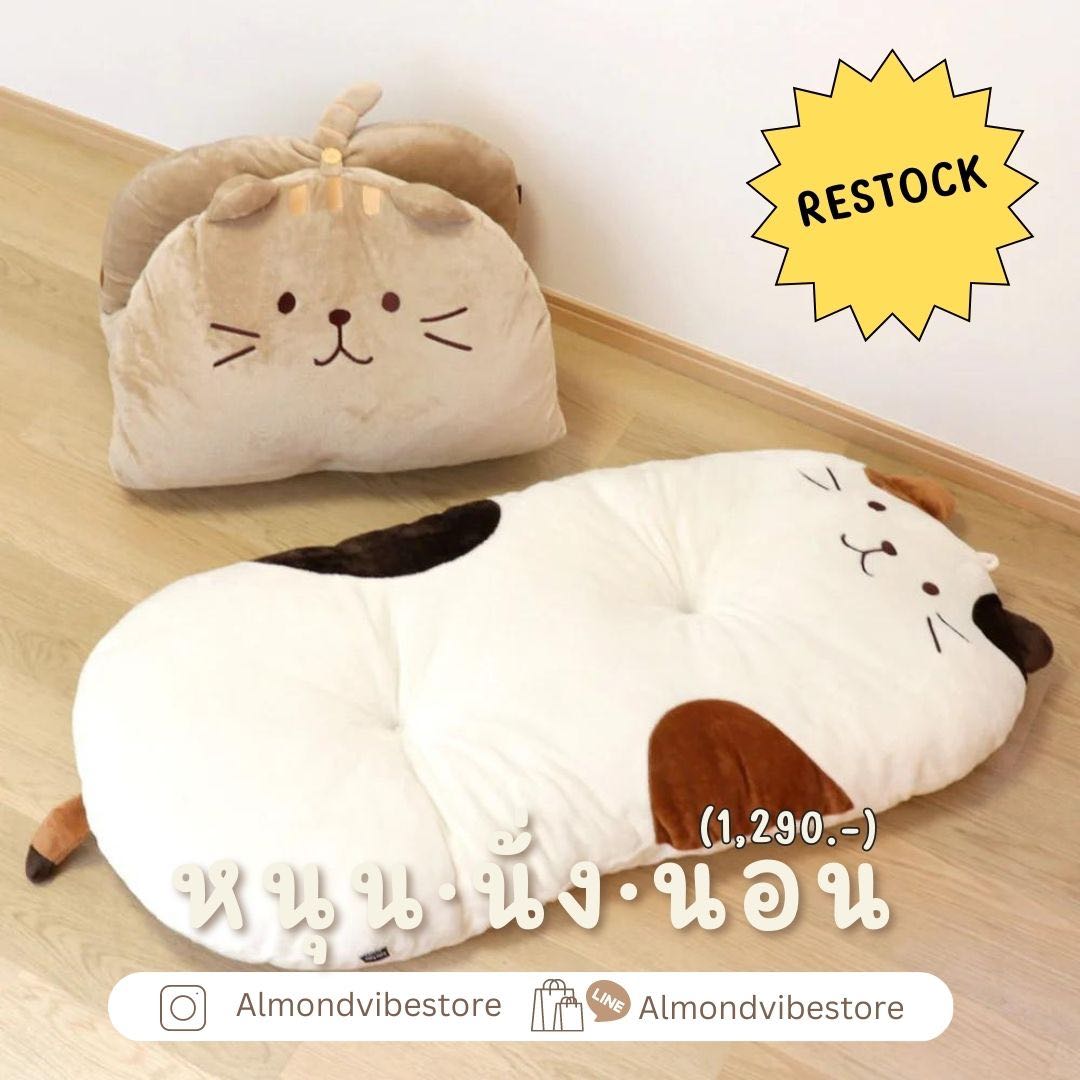 Sleeping cushion เบาะรองนอน เบาะรองนั่ง