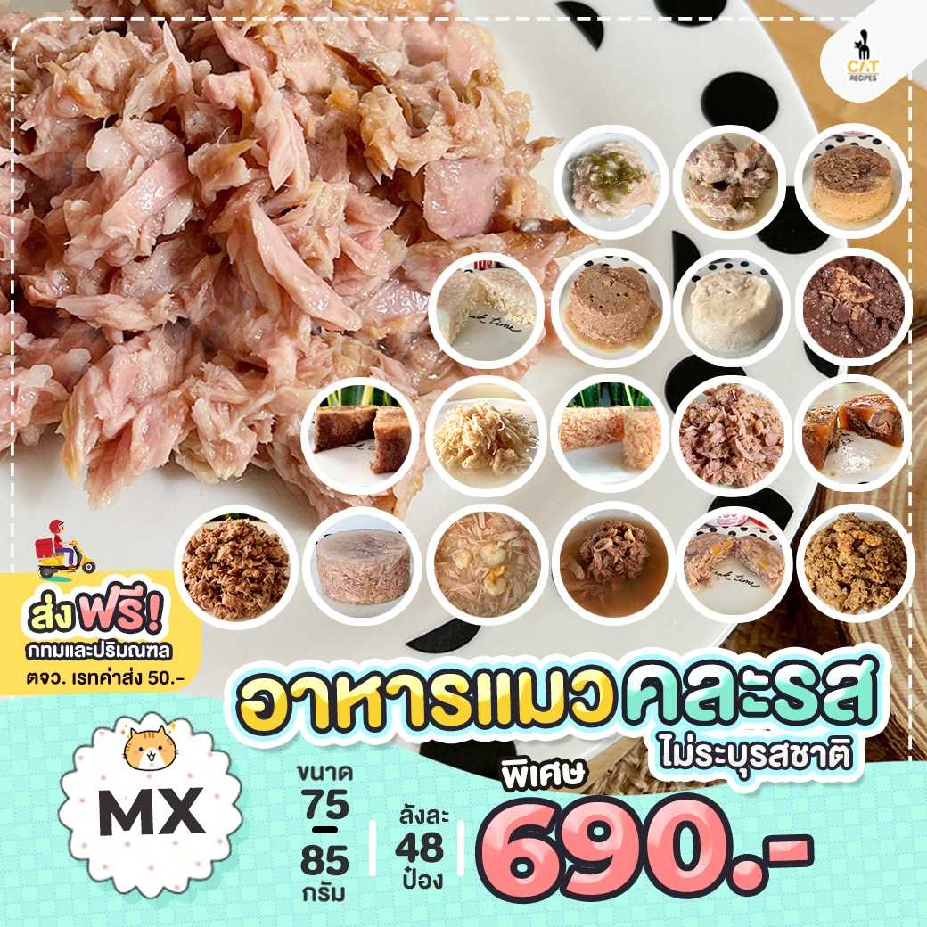 🌟 Best Seller 🌟 ส่งฟรี (MX) อาหารเปียกแมว คละรส ไม่ระบุรสชาติ