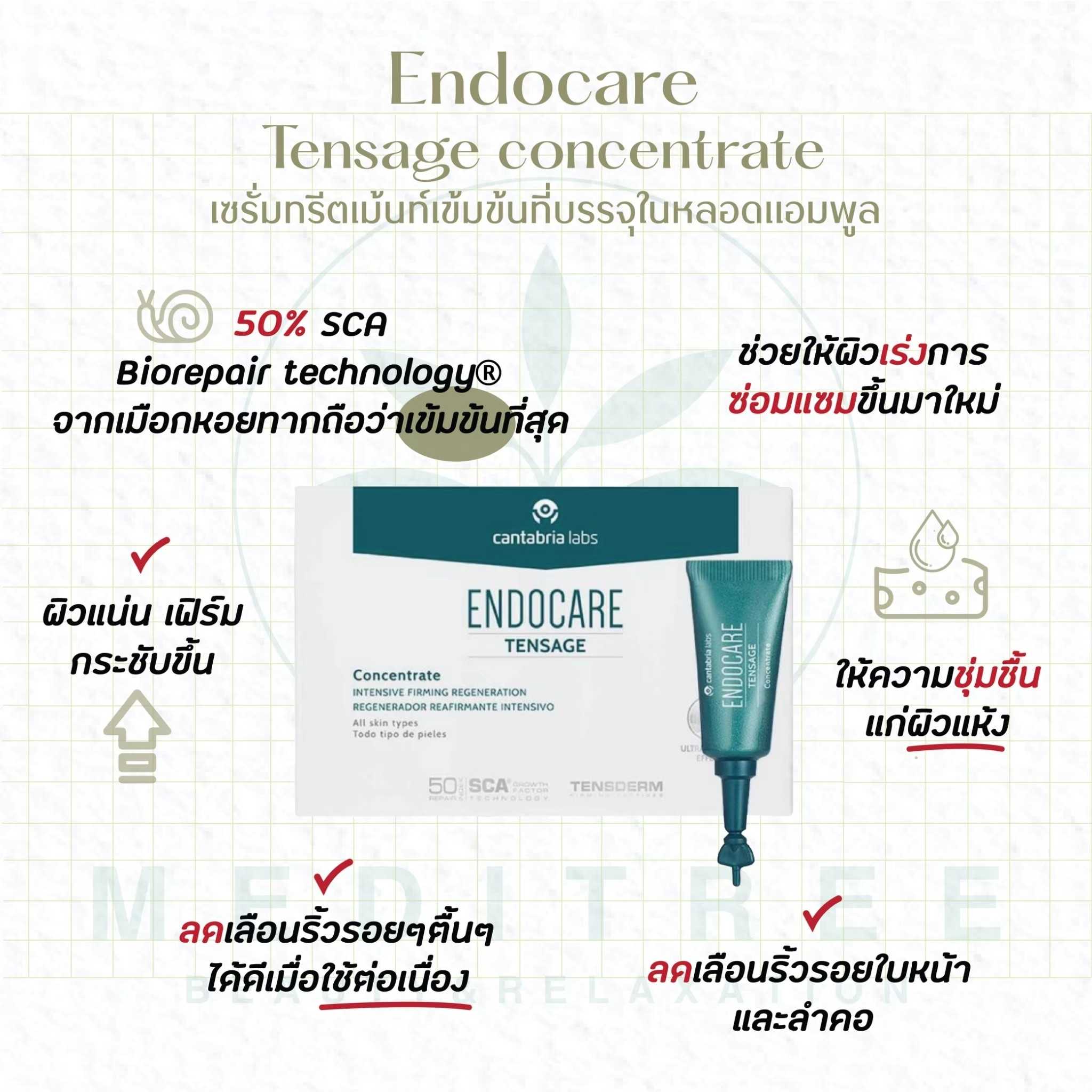 Endocare - Tensage concentrate SCA50 (2mlx10amps)