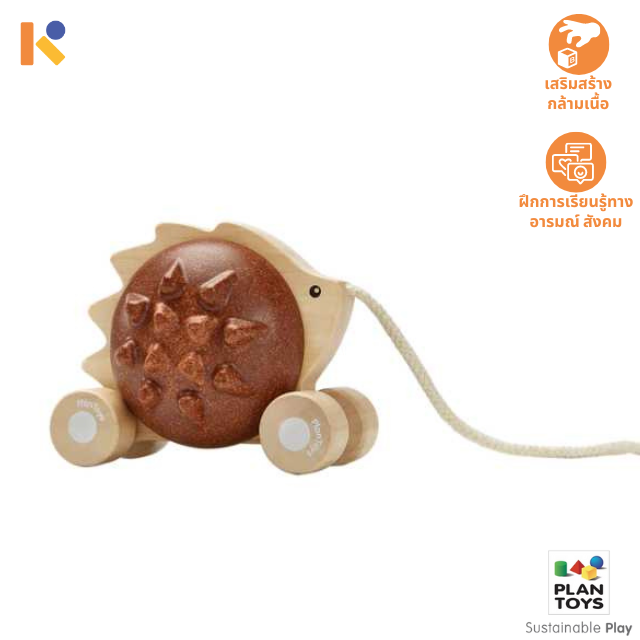 [1 - 2 yrs] Pull Along Hedgehog - Plantoys