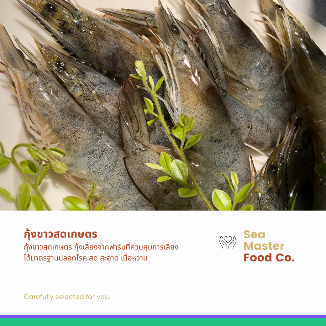 กุ้งขาวสดเกษตร 40-45 ตัว/กิโลกรัม