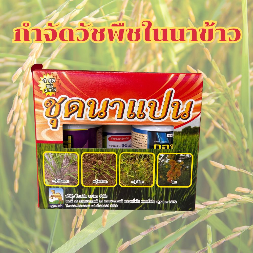 ชุดนาแปน ตราอูฐทองคำ ฉีดพ่นทับข้าวได้ ทั้งใบแคบและใบกว้าง บิสไพริแบก+ไตรโคลเทอร์+สารเพิ่มฤทธิ